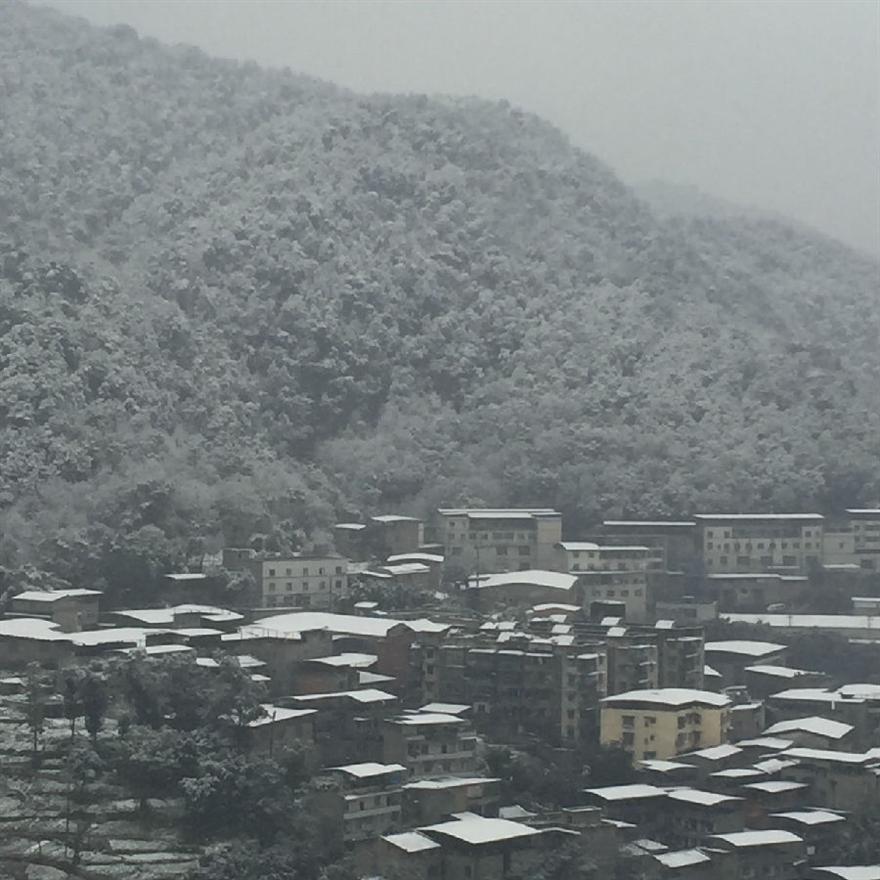 濾油機(jī)濾芯_重慶下雪啦