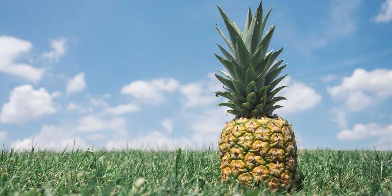 一站式婚礼VS独立策划师：如何根据需求选择最佳婚礼服务方