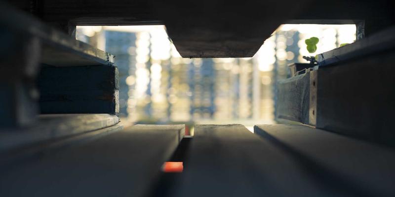 一站式婚礼策划秘籍：如何用灯光艺术打造梦幻场景并提升婚纱摄影效果