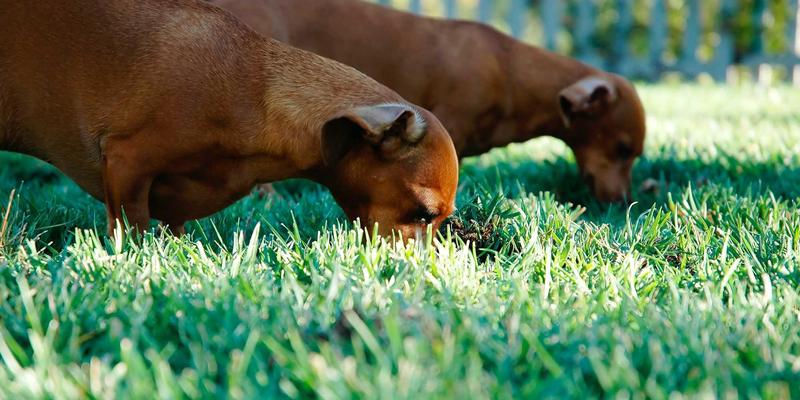 婚宴策划新趋势：婚庆公司如何通过无障碍设计打造包容性婚礼