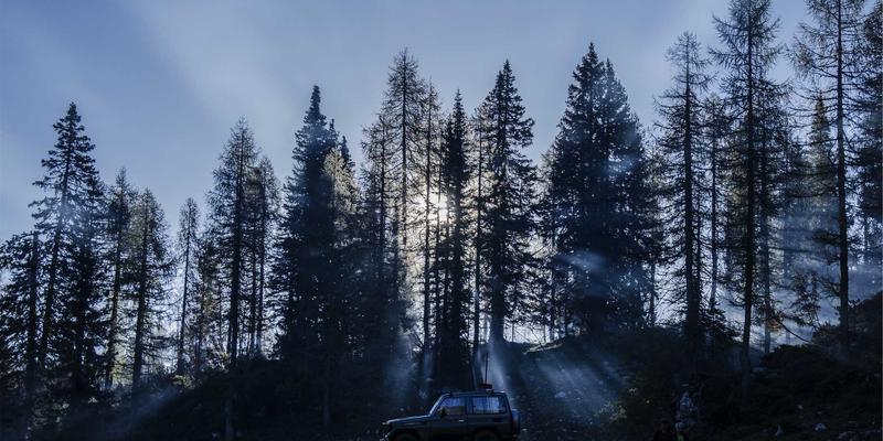 婚宴策划的艺术：如何选择专业婚庆公司打造梦想婚礼布置