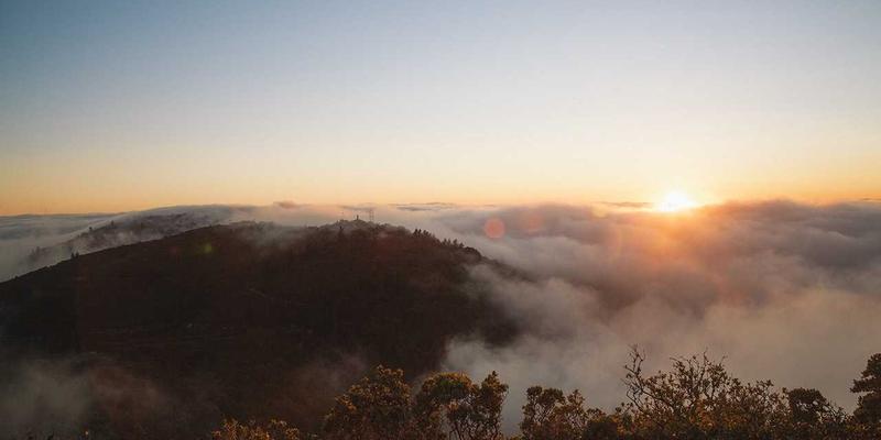 婚庆服务80：一站式婚宴策划与婚礼策划的终极指南