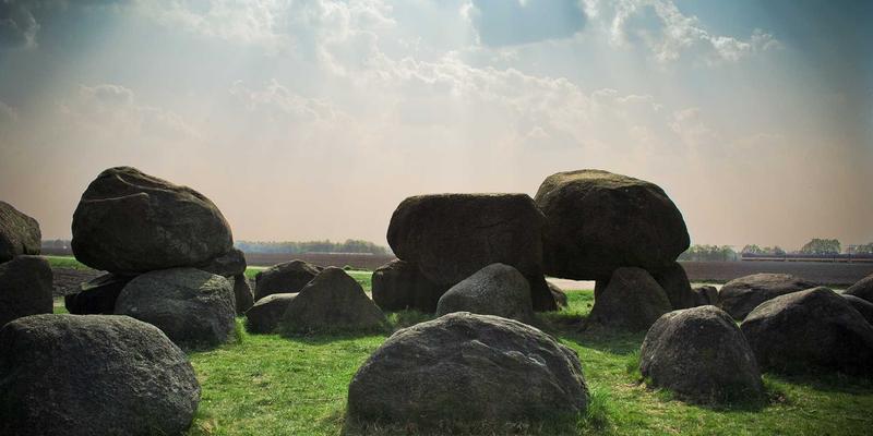 婚庆服务81：解锁完美婚礼的三大核心要素与创新趋势