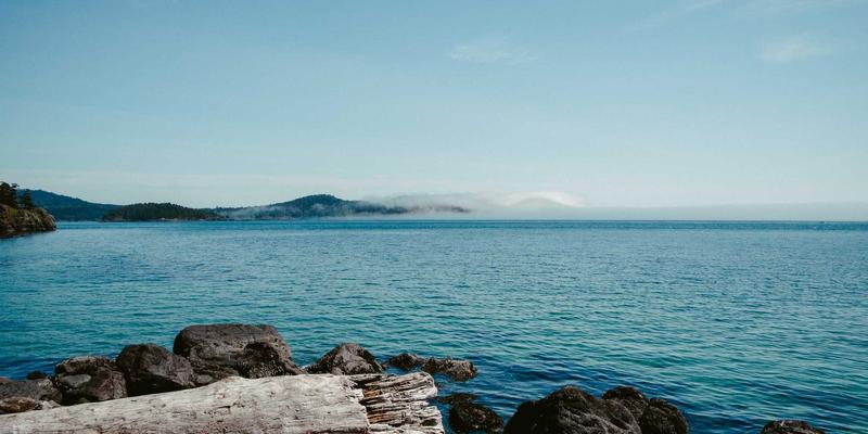 婚庆服务99：如何选择专业婚礼策划，打造梦想中的完美婚礼