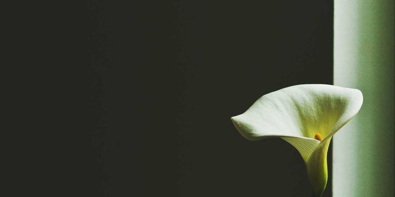 婚庆服务全攻略:从婚礼布置到选择婚庆公司的避坑指南