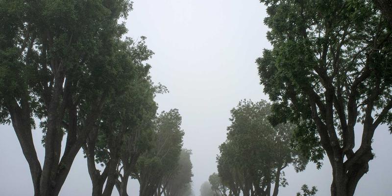 婚庆服务前景展望：从婚礼布置到整体策划的行业变革