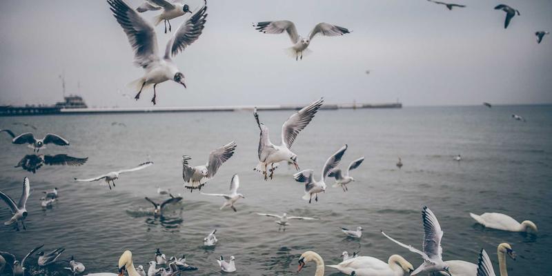 婚庆服务进阶：从婚纱摄影到一站式体验，如何选择真正懂你的婚庆公司