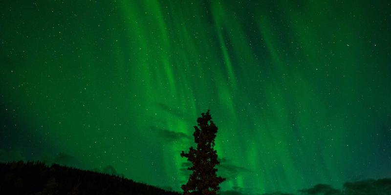 婚庆甜品台创意设计全攻略：从主题搭配到宾客互动的专业指南