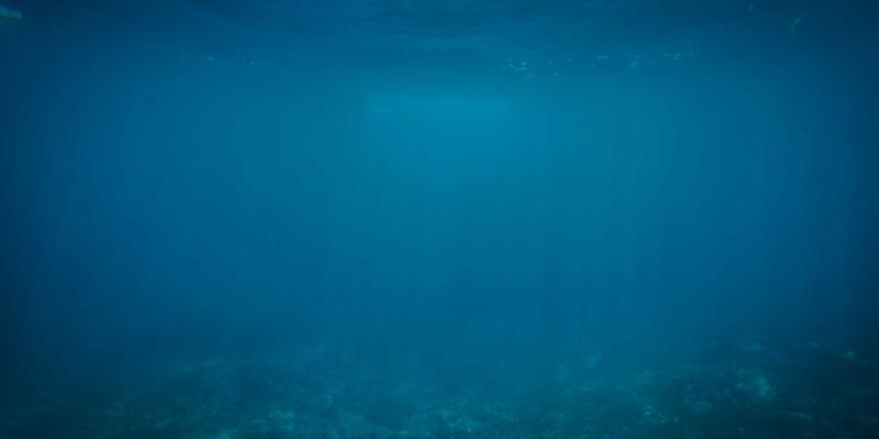 婚礼策划新思路：博物馆、美术馆、图书馆的特色婚庆方案全解析