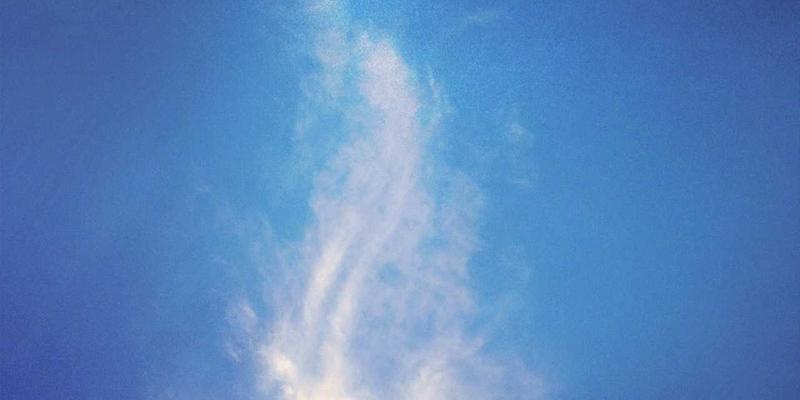 特殊时期婚礼新选择：一站式婚庆公司教你策划安全难忘的微型婚礼与线上直播婚礼